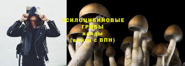 спайс Алексеевка