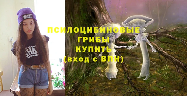 спайс Алексеевка
