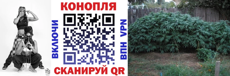 МАРИХУАНА Amnesia  где продают   Новоаннинский 